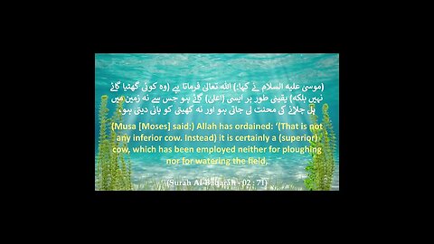 Part # 26 - Surah Al-Baqarah (The Cow) | Translation Verse 70-71 | HD #shorts