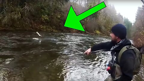 Steelhead Fishing Insanity | Jumps, Bobber-Downs, & BIG Fish!