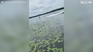 Un skimboarder chute en voulant impressionner la galerie