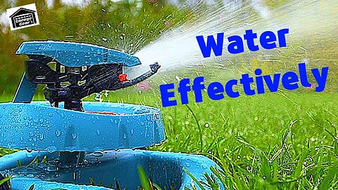 HOW TO WATER YOUR LAWN - Plus My Secret Weapon