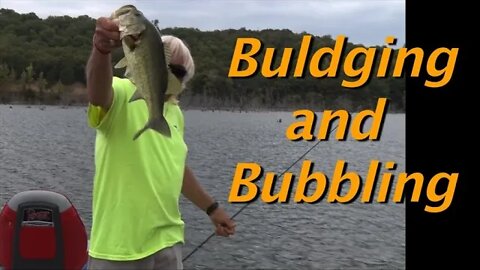 Bulging and Bubbling a Spinner Bait!