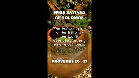 Proverbs 20.27 | NRSV Bible - Wise Sayings of Solomon