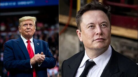 Orange Man Back? Elon Musk States He Would Reverse Donald Trump's Suspension From Twitter