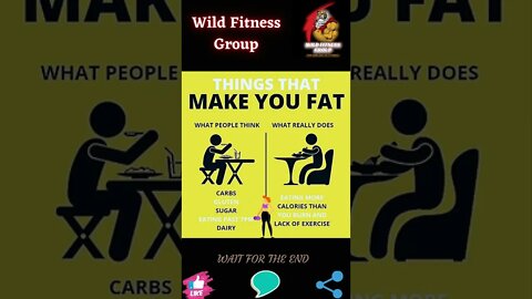 🔥What are the things that make you fat🔥#shorts🔥#wildfitnessgroup🔥11 November 2022🔥