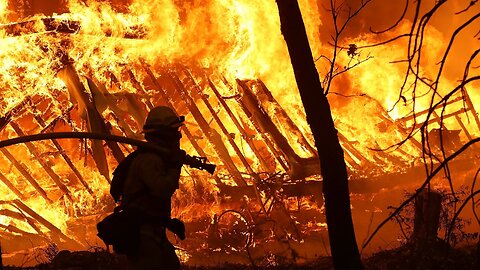 US Forest Service Is Treating Millions Of Acres To Prevent Wildfires