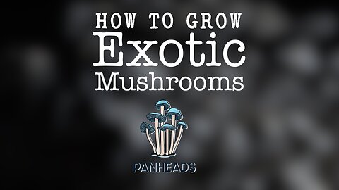 How to Grow Panaeolus Cyanescens - Complete Guide