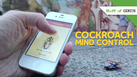 Stuff of Genius: There's An App For That: Cockroach Mind Control