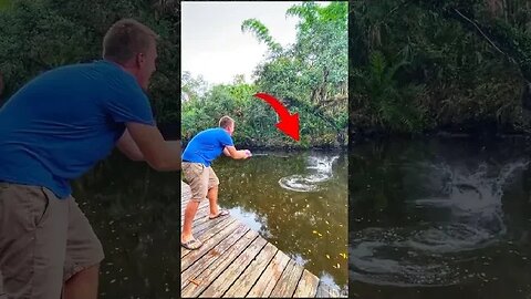 Tiny Toy Rod & BIG FISH - fishing challenge #fishingshort #fishingchallenge