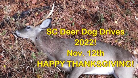 SC Deer Dog Drives 2022! Nov. 12th Warm & Wet!