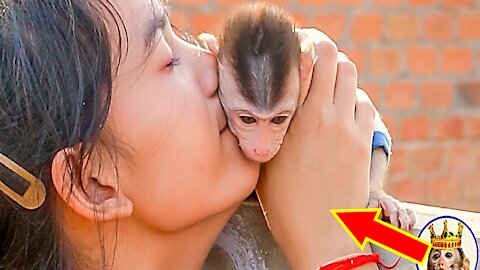 Baby Monkey Most Loves Sister and Need.Stay With Her All.Time - Monkey Animals 066