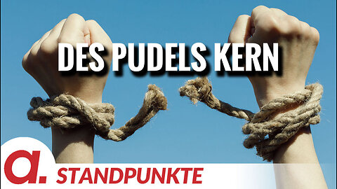 Des Pudels Kern | Von Friedemann Willemer