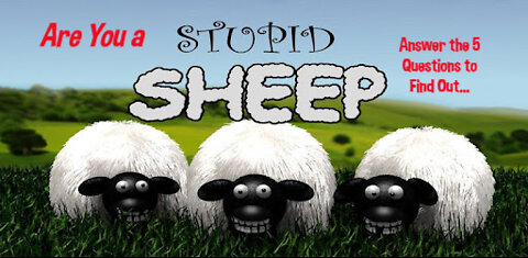 🐑 Are You a Stupid Sheep? Take the Test To Find Out 🤪 🤣