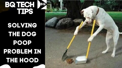 DEALING WITH DOG POOP IN THE HOOD AND KEEPING THE LAWN DOG POOP FREE