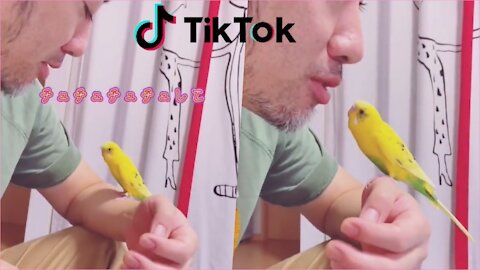 🗾Funny Japanese Animal Tik Tok Video 2021