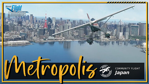 Metropolis, Japan | Community Flight | MSFS Cinematic