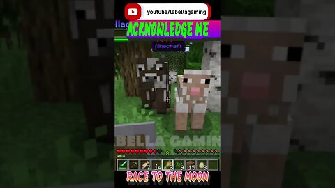 Acknowledge Me - Race To The Moon | Minecraft