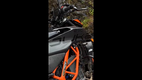 Ktm duke 250 🥰