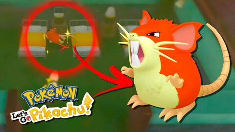 INCRÍVEL! QUASE PERDI um Raticate SHINY em LIVE! Raticate RUIM! Pokémon Let's GO Pikachu