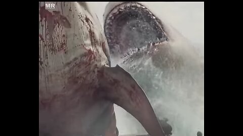 Shark attack on ship