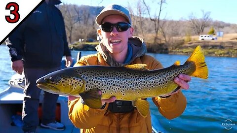 Fishing a WORLD FAMOUS River!! (Tiger Trout and Brown Trout) || TROUT CAPITAL USA (Part 3)