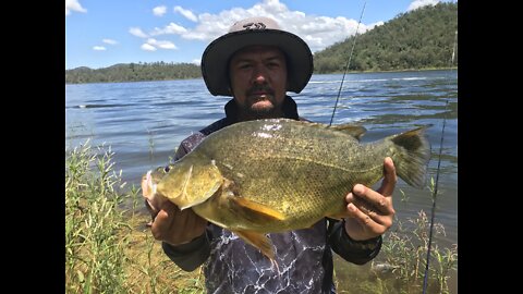 Yellow belly fishing, Australia, QLD, Fishing, Camping,