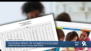 Sudden Spike In Homeschooling