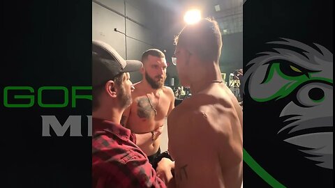 Caio Borralho vs Michal Oleksiejczuk: UFC Vegas 72 Face-off