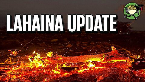 Lahaina Update (4/9/2024)