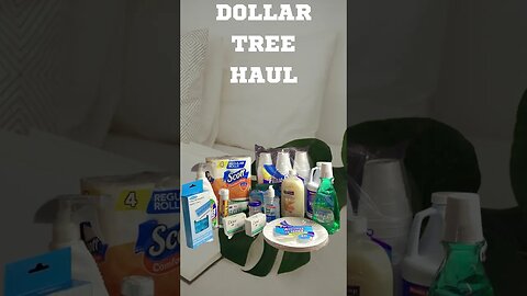 Dollar Tree Haul! Shop With Me and See What I Bought! #shortschallenge #october #oct