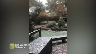 Large fluffy snowflakes fall in Ontario