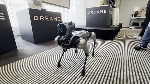 The Dreame Robot Dog Demo at the L20 Ultra Sydney Australia launch