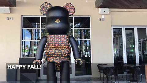 Giant Delray bear changes colors every season