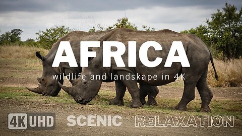 Africa 4K | Scenic Relaxation video with calming music | Relaxation video