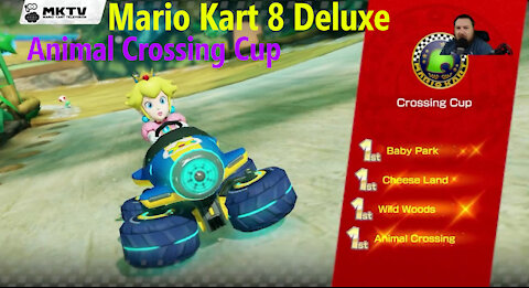 Mario Kart 8 Delux - Animal Crossing Cup