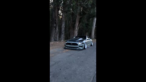 Bagged s550 mustang