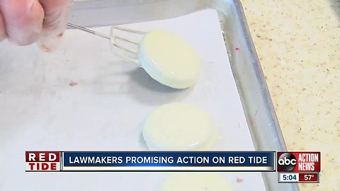 Pinellas residents hope Florida legislators keep promise to fight red tide