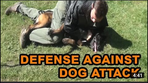 How to defense against a dog. Self defense against a dog attack