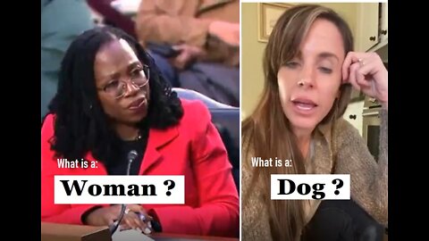 WHAT IS A WOMAN vs. WHAT IS A DOG? Conservative Momma