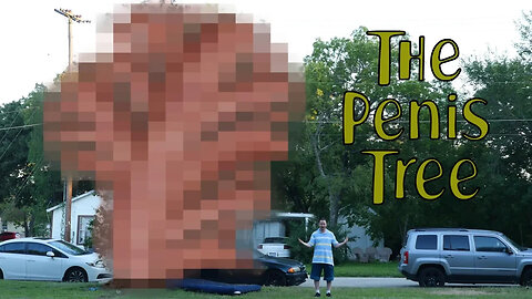 The Penis Tree