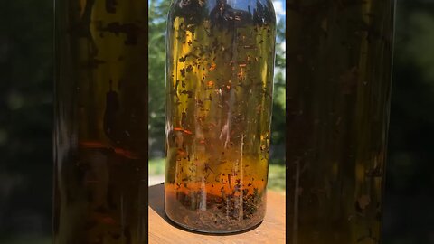 How to Make the Most Satisfying Sun Tea Ever #shorts