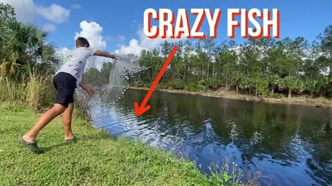 Catching Exotic fish for my FISH TANK! 🔥