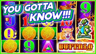 BIG BONUS WINS! YOU JUST GOTTA KNOW THIS! Buffalo Link Slot