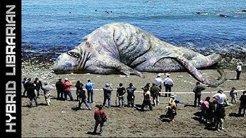 The 10 Most Mysterious Sea Monster Carcasses Ever Found