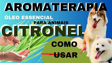 AROMATERAPIA PARA ANIMAIS | ÓLEO ESSENCIAL DE CITRONELA | COMO USAR PARA CÃES