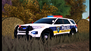 ROBLOX LIBERTY COUNTY POLICE ADVENTURES