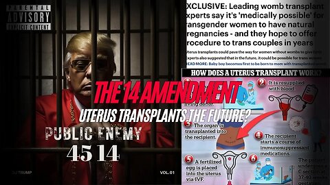 The 14th Amendment, Uterus Transplants the Future | The Hooch