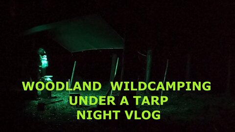 Night Vlog under tarp. woodland wildcamping