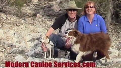 Interview with Jim & Birgit Walker of Modern Canine Services