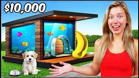 I Built a $10,000 Dream Dog House