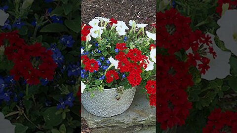 Memorial Day inspired flower arrangements🌹#shorts